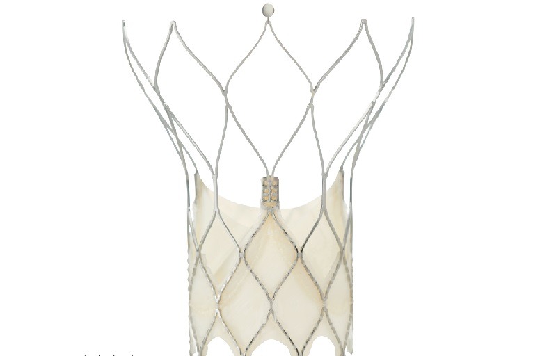 portico valve minimally invasive heart valve replacement